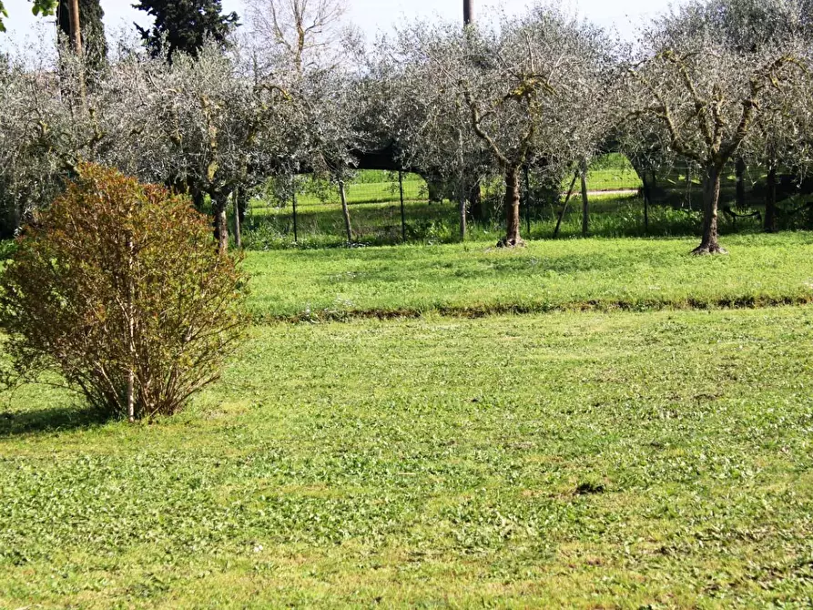 Immagine 25 di Casa indipendente in vendita  a Fauglia