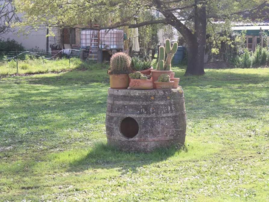 Immagine 26 di Casa indipendente in vendita  a Fauglia