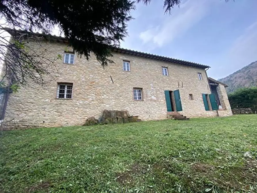 Immagine 14 di Rustico / casale in vendita  a Lucca