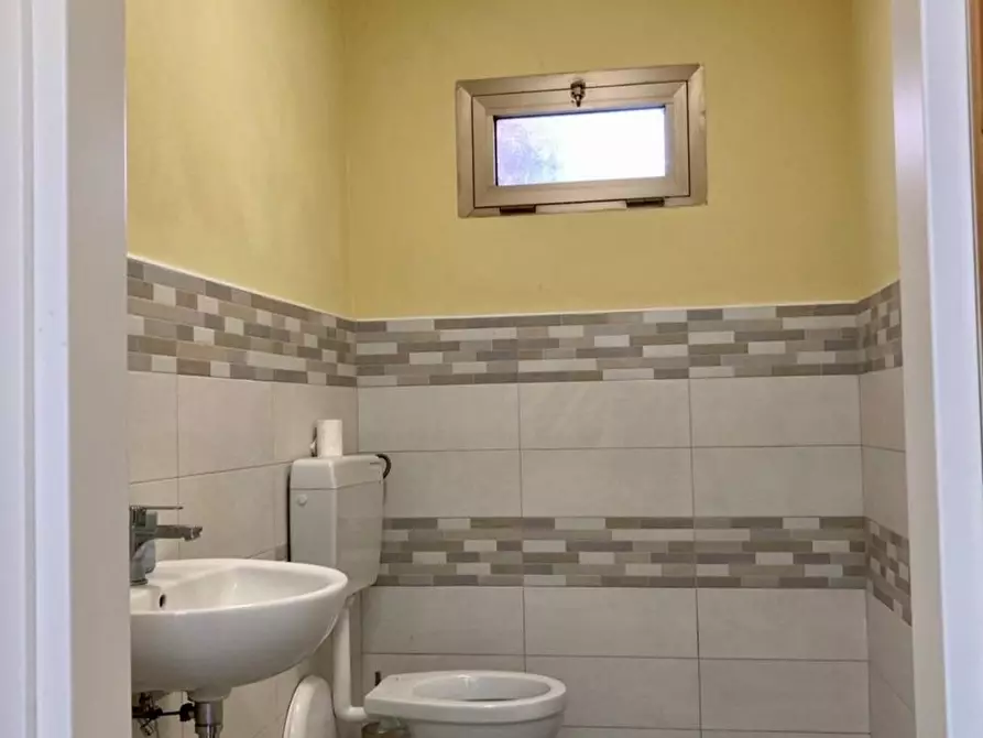 Immagine 10 di Attività artigianale in vendita  a Vicopisano