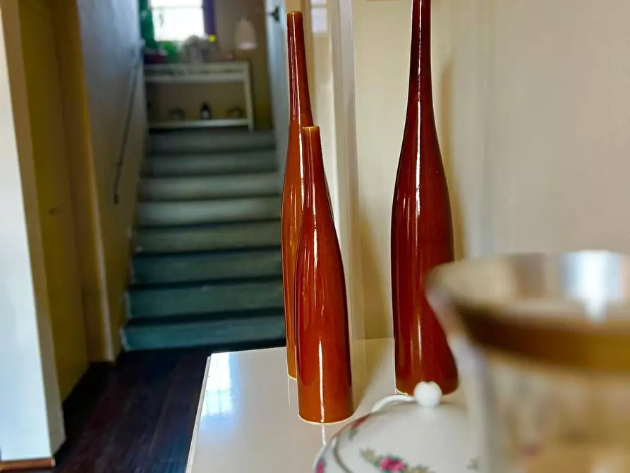 Immagine 54 di Casa colonica in vendita  a Santa Croce Sull'arno