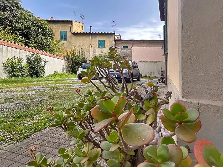 Immagine 3 di Villa in vendita  a Livorno