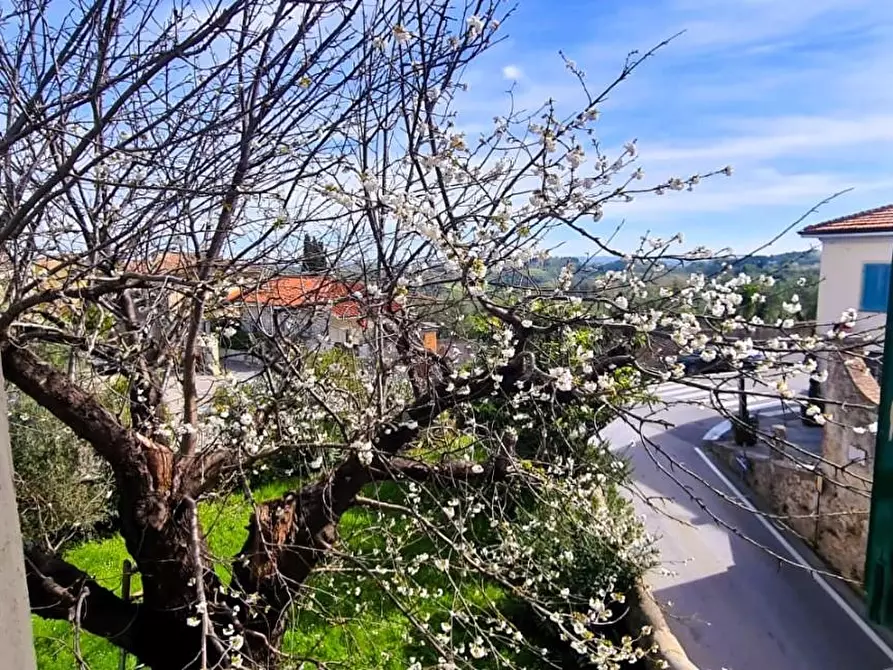 Immagine 16 di Appartamento in vendita  a Casciana Terme Lari