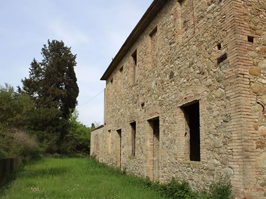 Immagine 21 di Casa colonica in vendita  a Terricciola