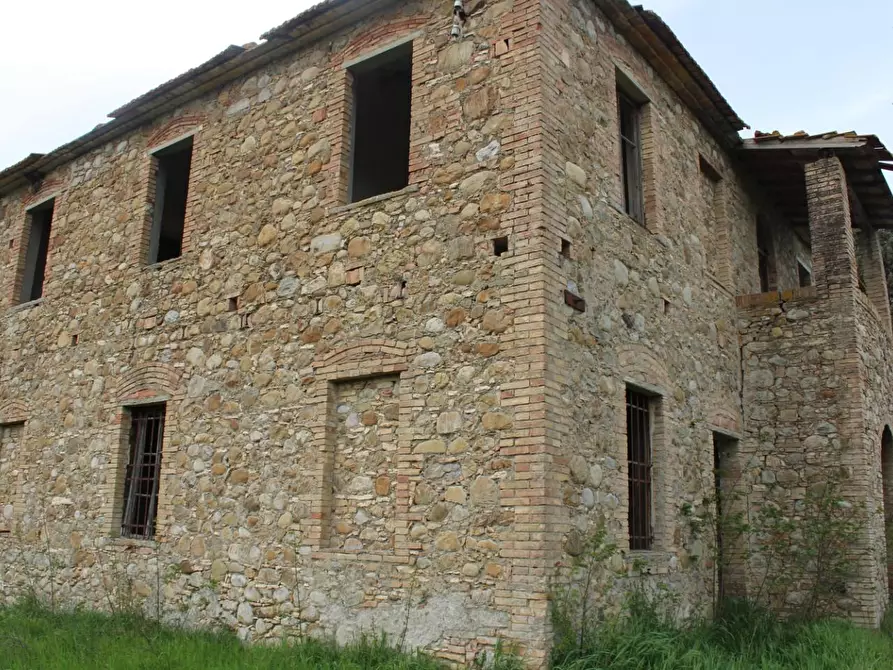 Immagine 11 di Casa colonica in vendita  a Terricciola