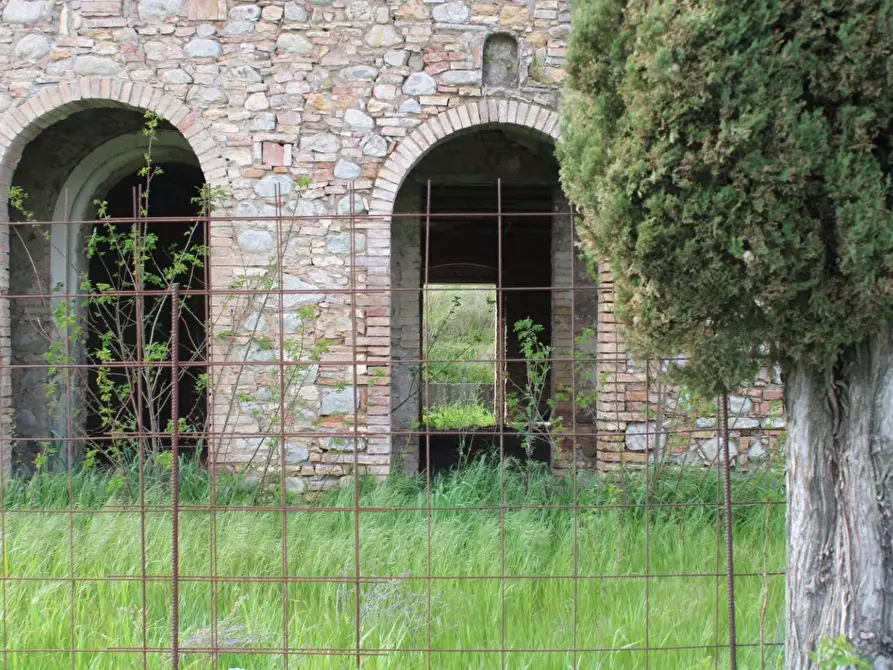 Immagine 27 di Casa colonica in vendita  a Terricciola