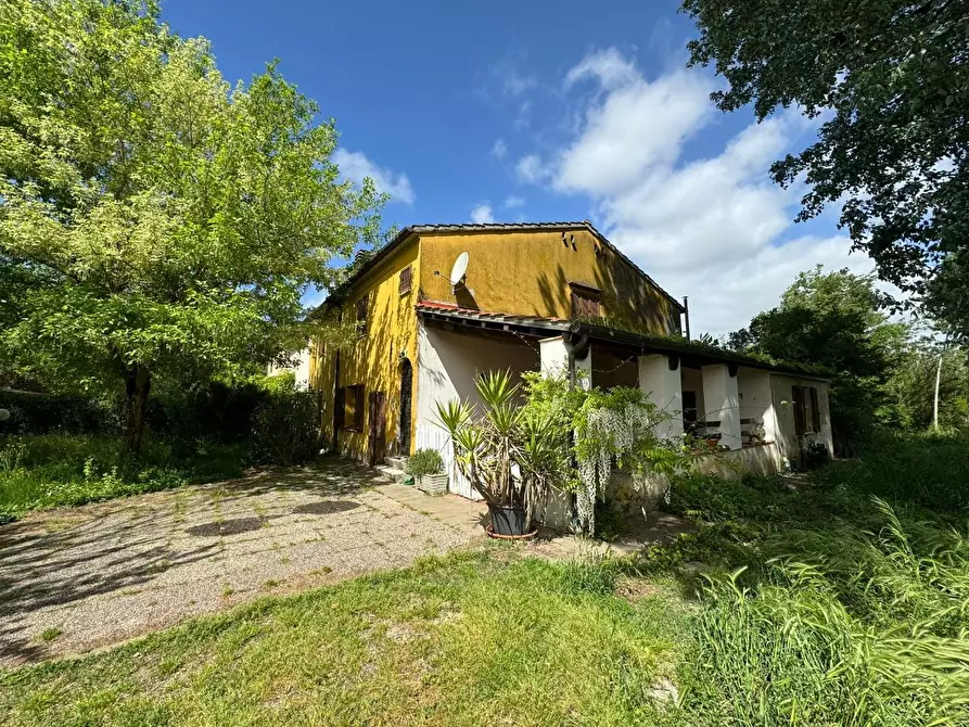 Immagine 1 di Casa semindipendente in vendita  a Ponsacco