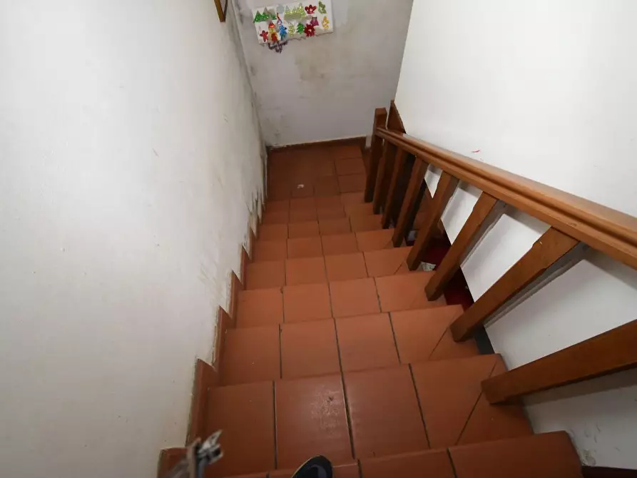 Immagine 48 di Villa in vendita  a Vecchiano