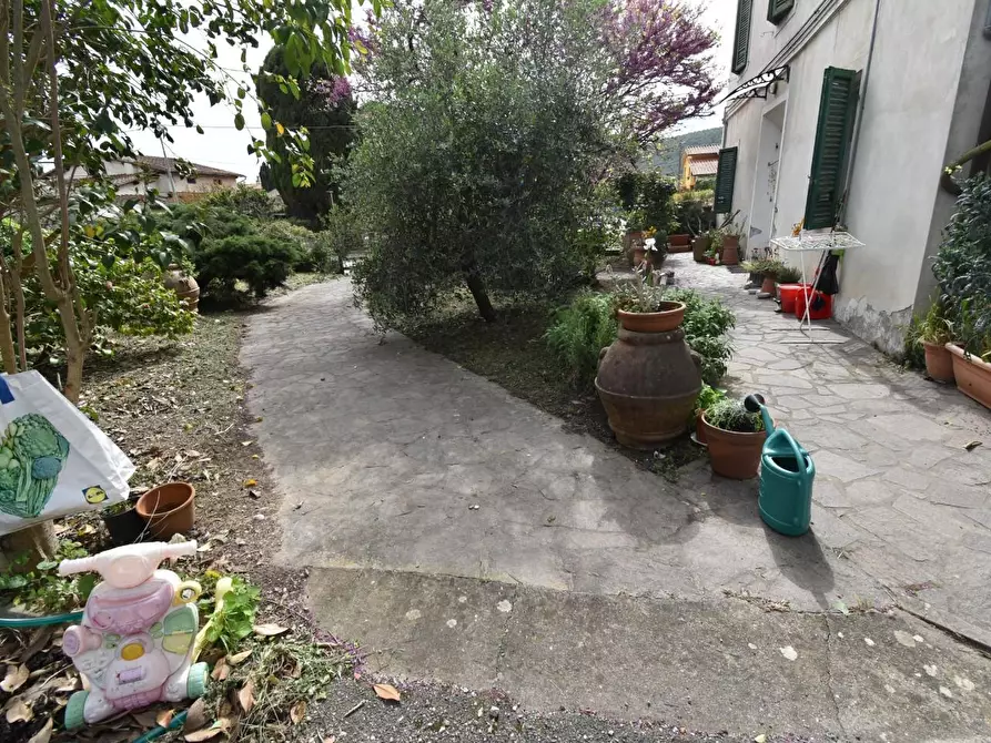 Immagine 25 di Villa in vendita  a Vecchiano