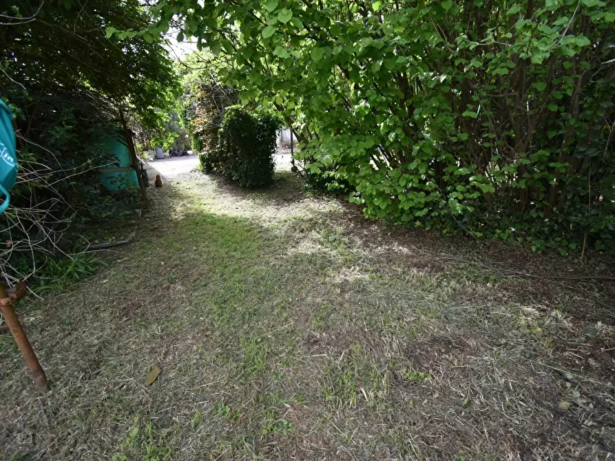 Immagine 40 di Villa in vendita  a Vecchiano