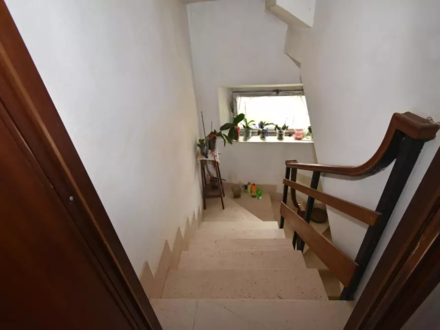 Immagine 18 di Villa in vendita  a Vecchiano