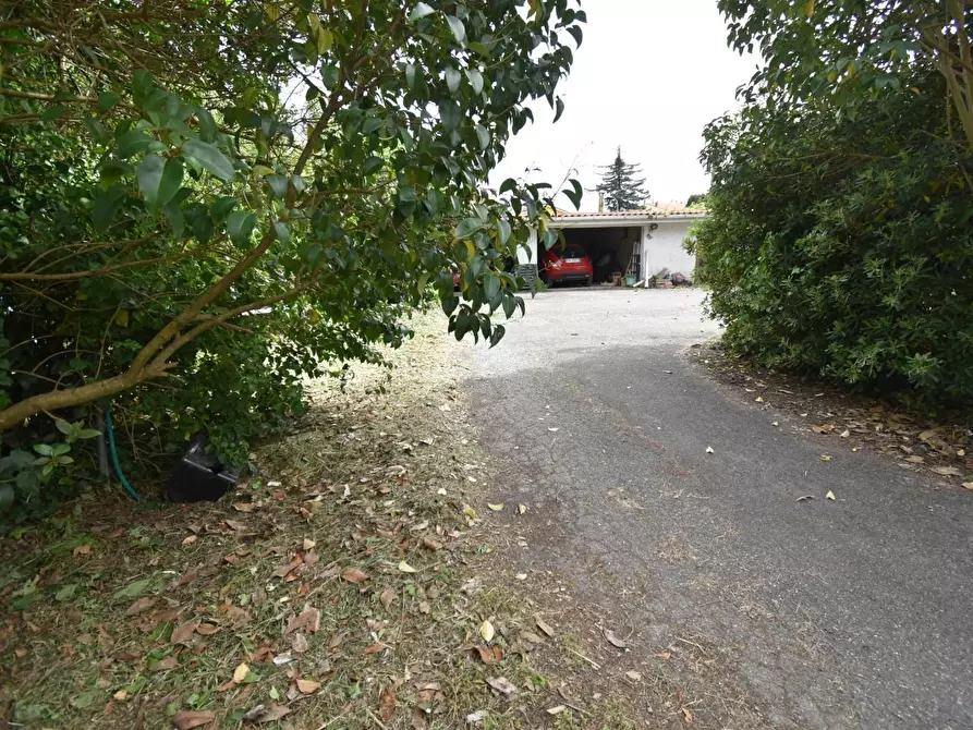 Immagine 32 di Villa in vendita  a Vecchiano