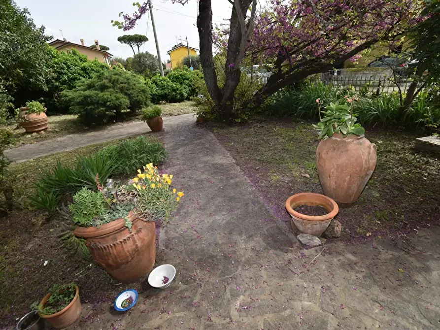 Immagine 24 di Villa in vendita  a Vecchiano