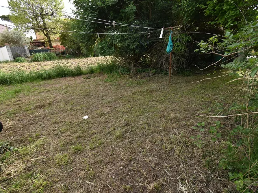 Immagine 39 di Villa in vendita  a Vecchiano