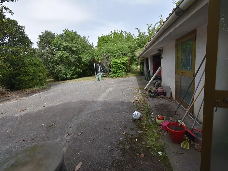 Immagine 27 di Villa in vendita  a Vecchiano