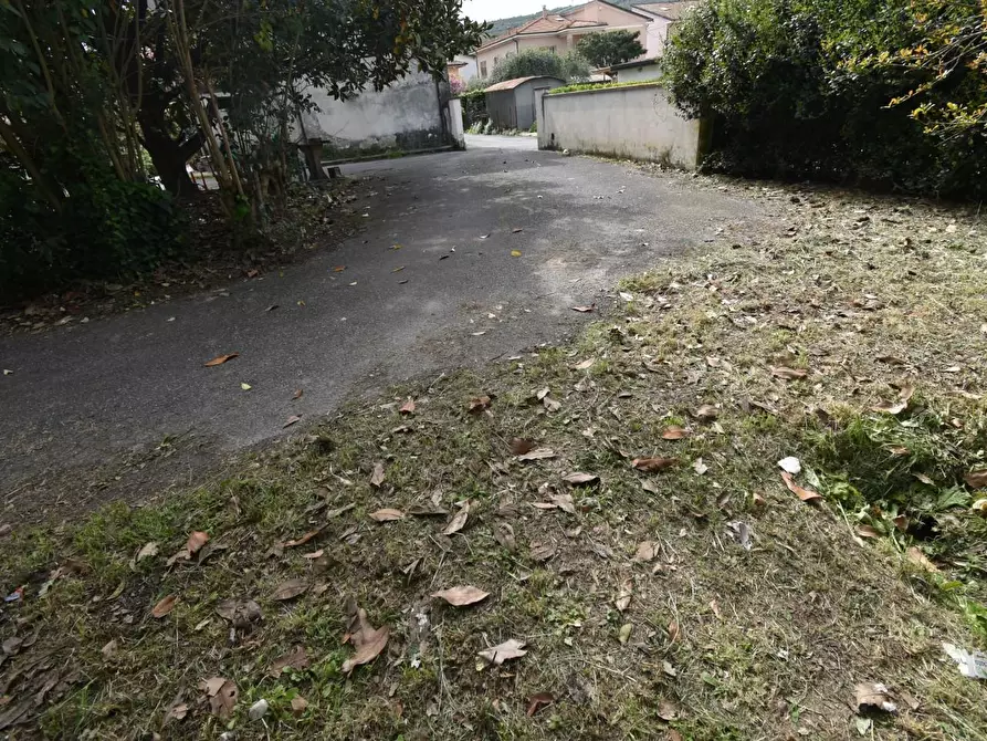 Immagine 33 di Villa in vendita  a Vecchiano