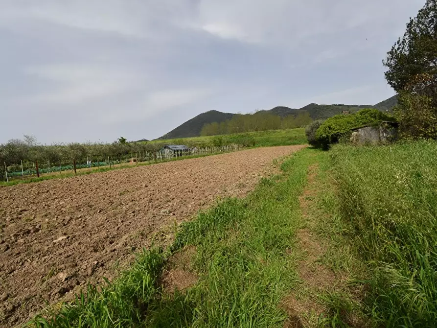 Immagine 37 di Villa in vendita  a Vecchiano