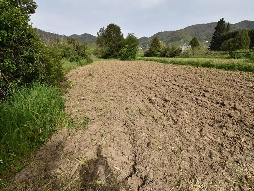 Immagine 38 di Villa in vendita  a Vecchiano