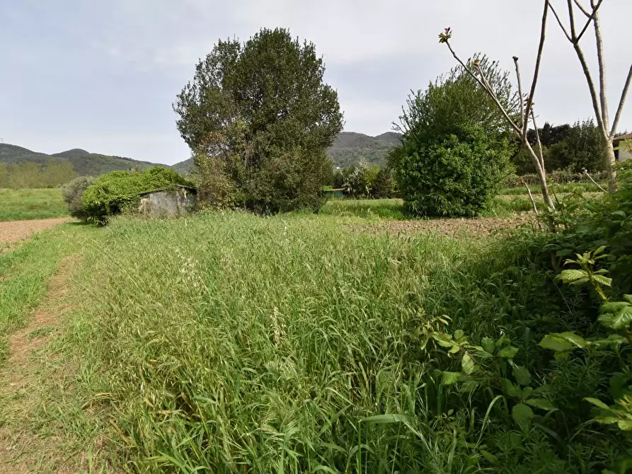 Immagine 36 di Villa in vendita  a Vecchiano