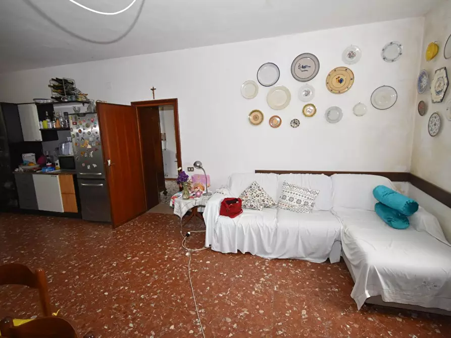 Immagine 11 di Villa in vendita  a Vecchiano