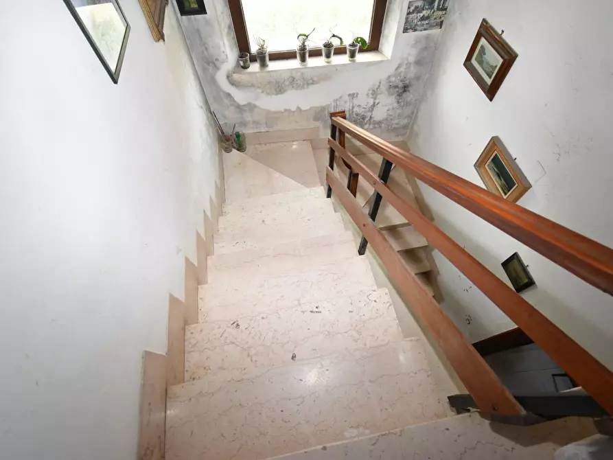 Immagine 56 di Villa in vendita  a Vecchiano