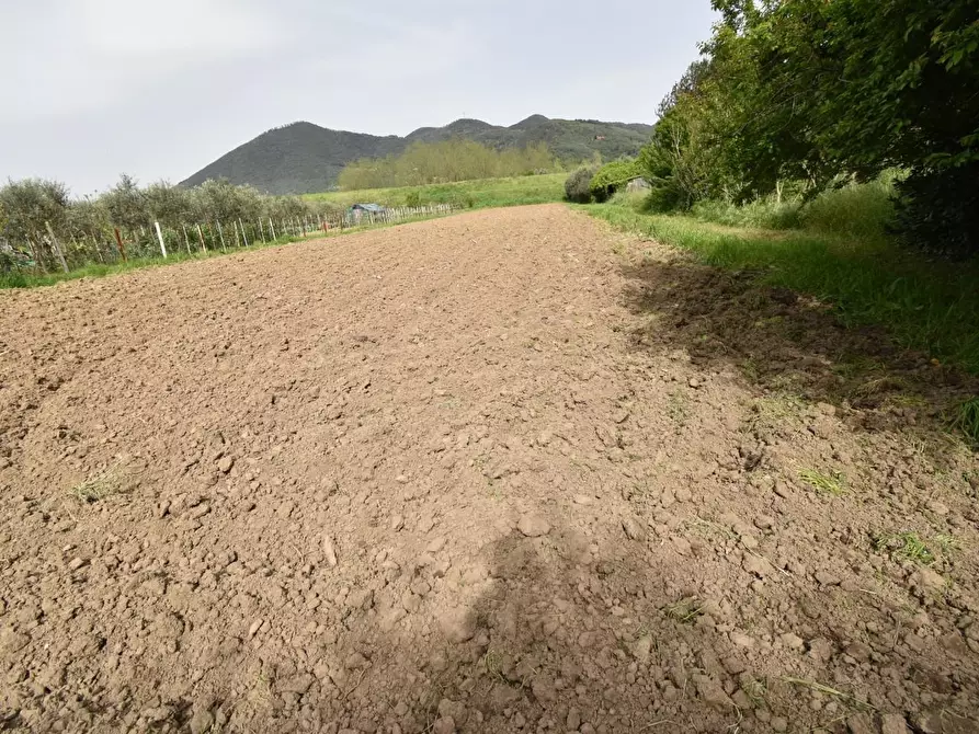 Immagine 34 di Villa in vendita  a Vecchiano