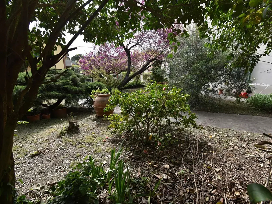 Immagine 26 di Villa in vendita  a Vecchiano