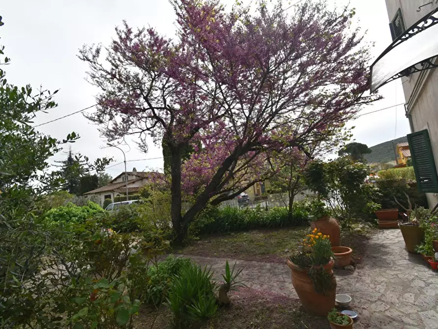 Immagine 29 di Villa in vendita  a Vecchiano