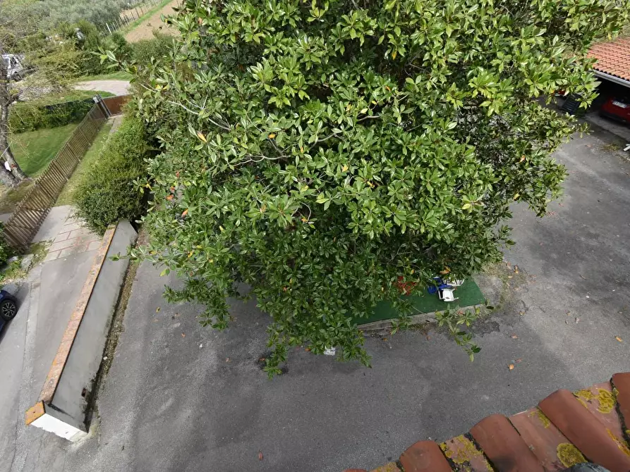 Immagine 63 di Villa in vendita  a Vecchiano