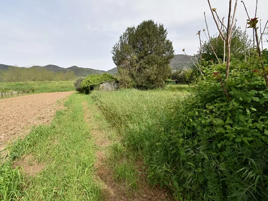 Immagine 35 di Villa in vendita  a Vecchiano