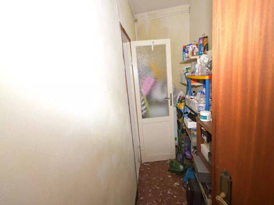 Immagine 15 di Villa in vendita  a Vecchiano