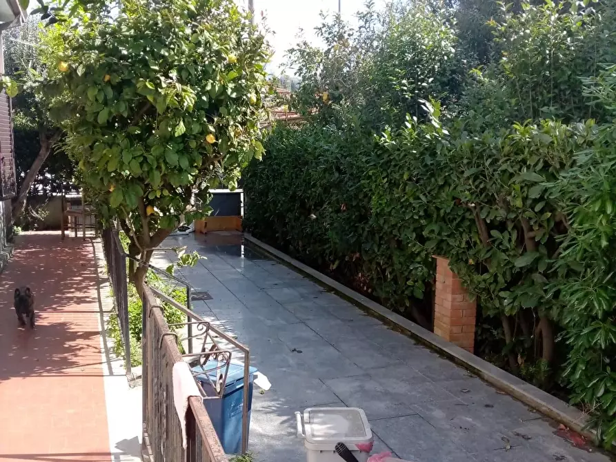 Immagine 2 di Casa bifamiliare in vendita  a Carrara