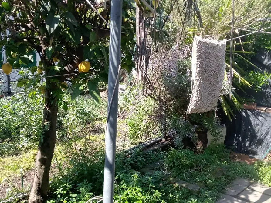 Immagine 3 di Casa bifamiliare in vendita  a Carrara