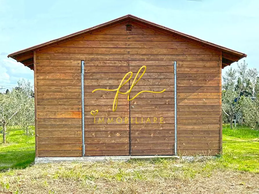 Immagine 5 di Terreno agricolo in vendita  a Cecina