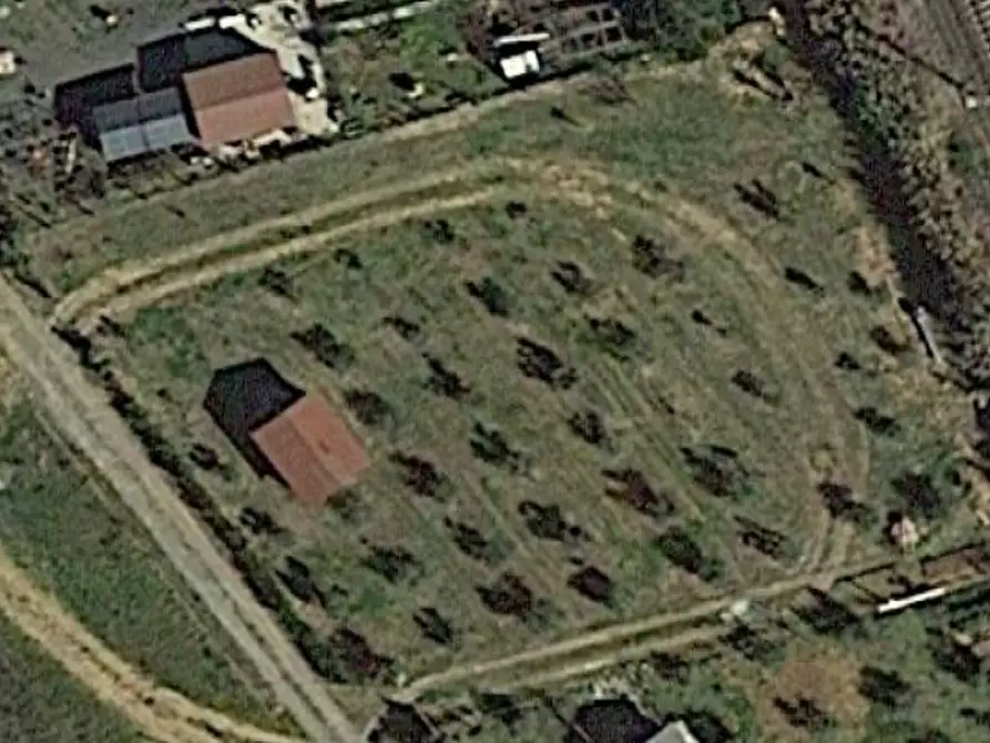 Immagine 9 di Terreno agricolo in vendita  a Cecina