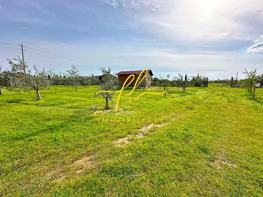 Immagine 6 di Terreno agricolo in vendita  a Cecina
