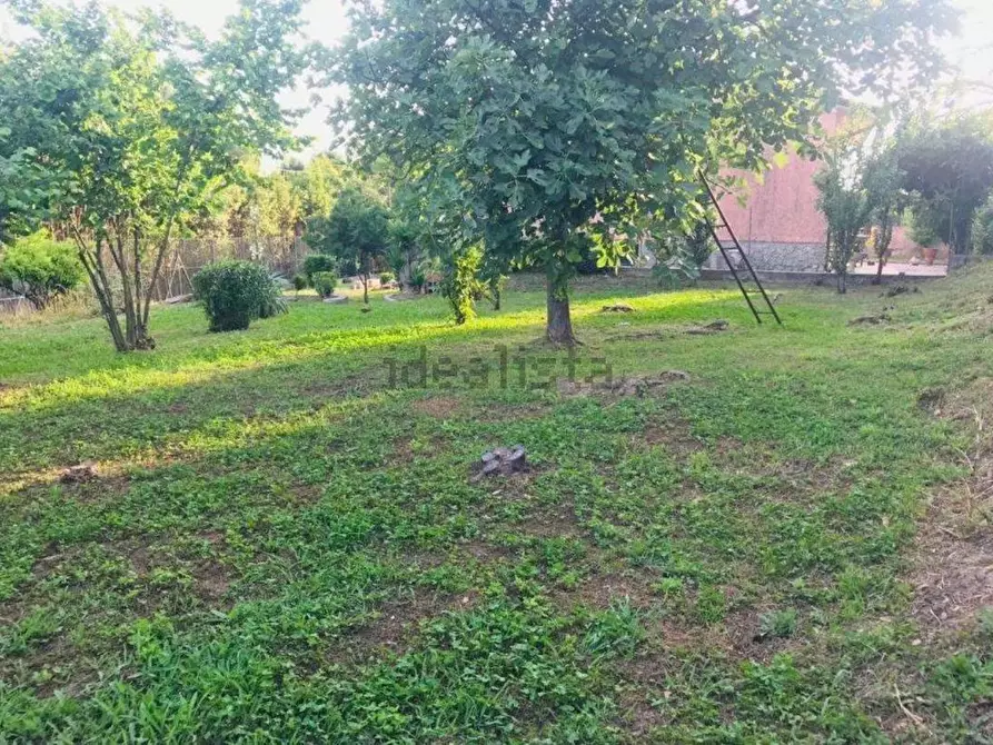 Immagine 50 di Casa indipendente in vendita  a Massarosa