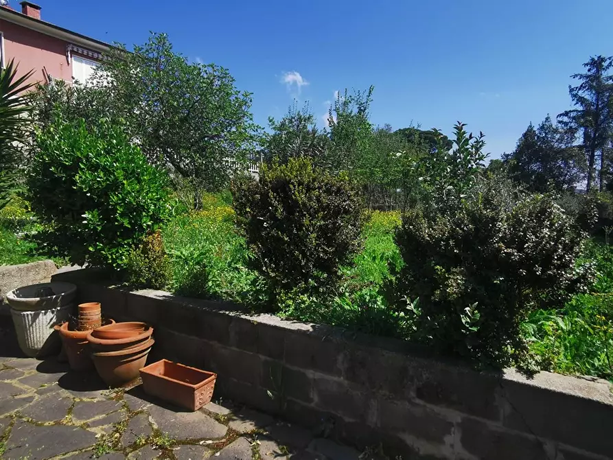 Immagine 7 di Casa indipendente in vendita  a Massarosa