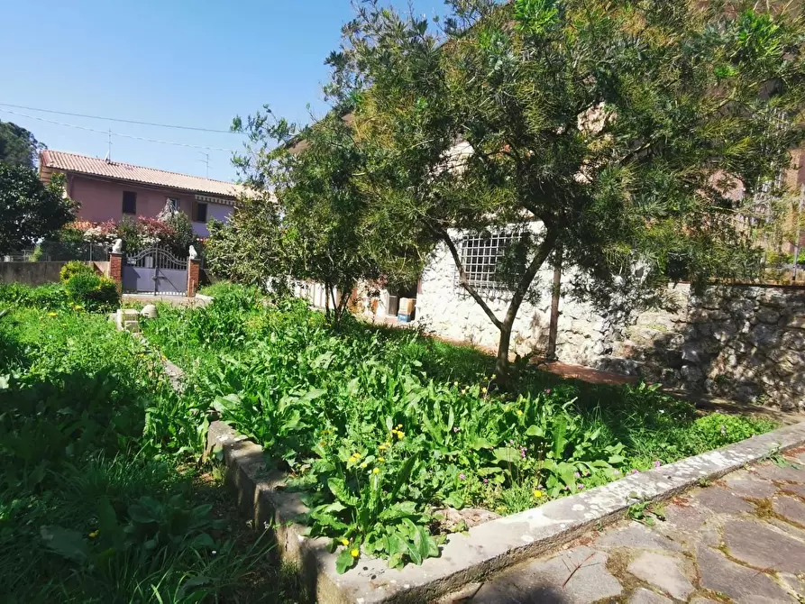 Immagine 5 di Casa indipendente in vendita  a Massarosa
