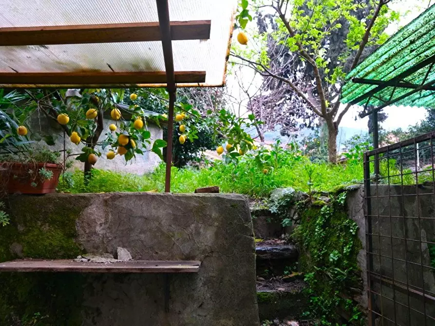 Immagine 32 di Terratetto in vendita  a Capannori