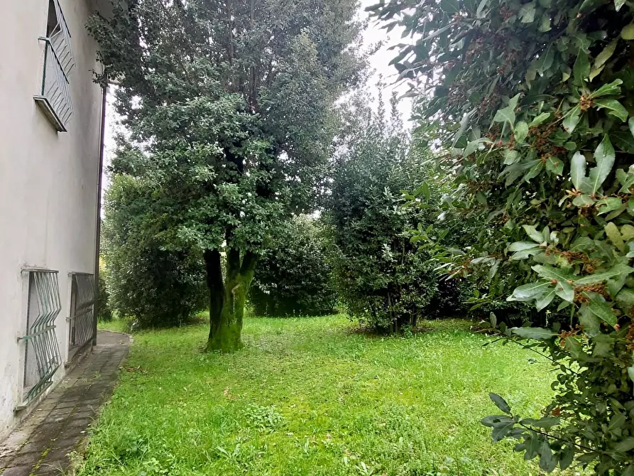 Immagine 6 di Villa in vendita  a Camaiore