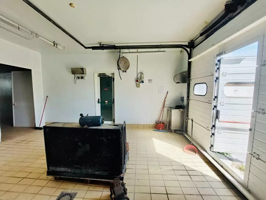 Immagine 6 di Capannone industriale in vendita  a Viareggio
