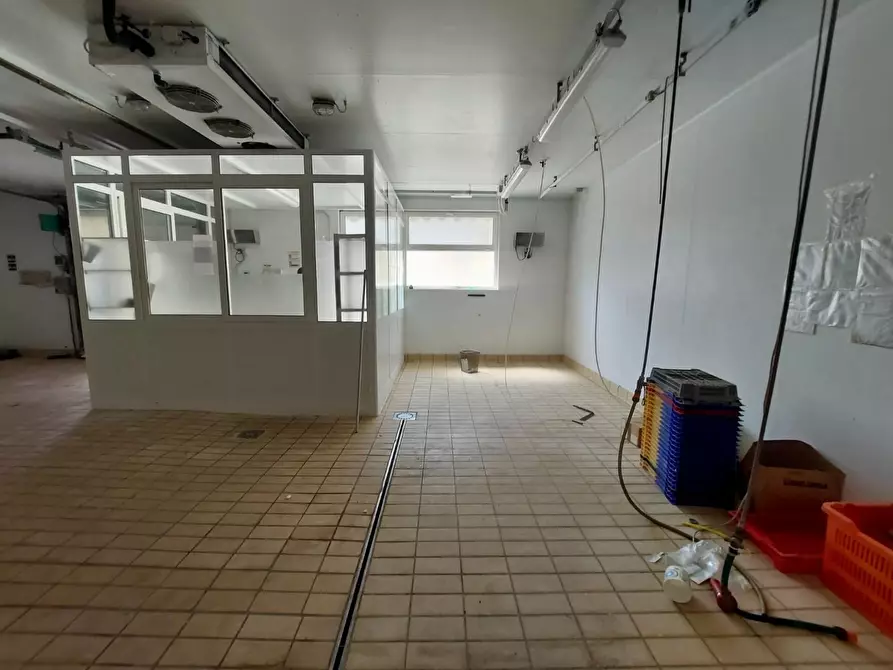 Immagine 12 di Capannone industriale in vendita  a Viareggio