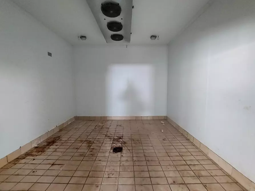 Immagine 13 di Capannone industriale in vendita  a Viareggio