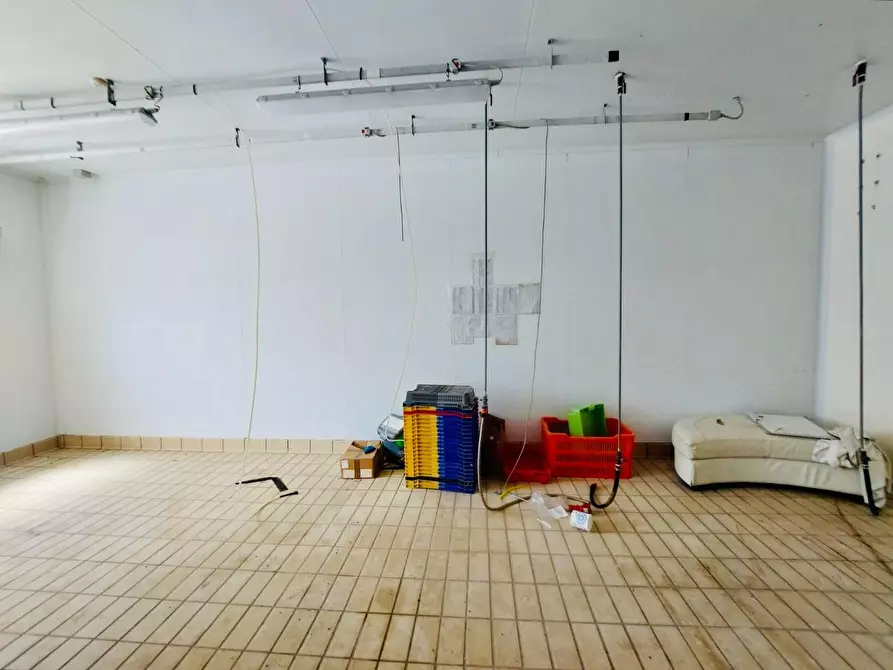 Immagine 11 di Capannone industriale in vendita  a Viareggio