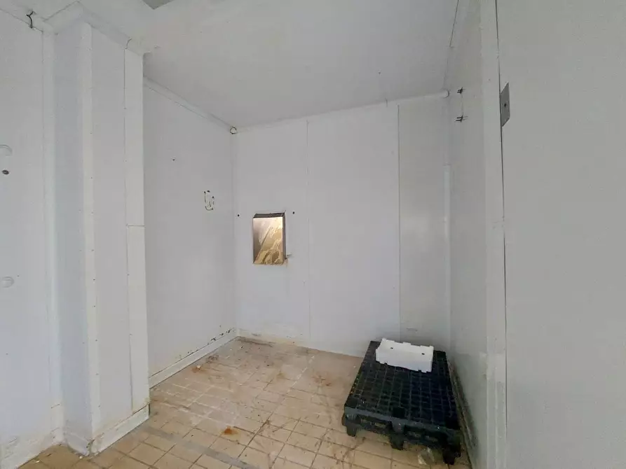 Immagine 4 di Capannone industriale in vendita  a Viareggio