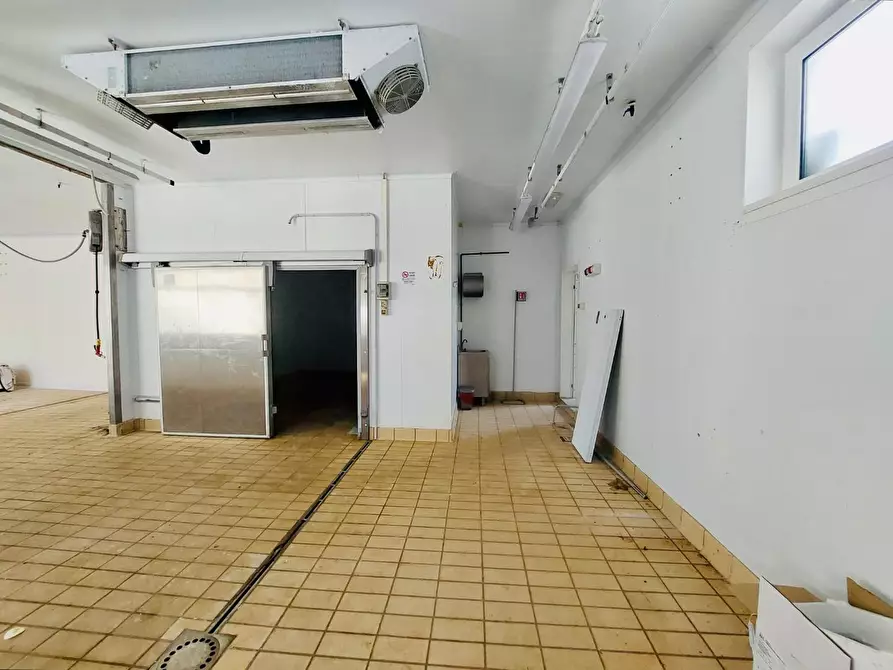 Immagine 16 di Capannone industriale in vendita  a Viareggio