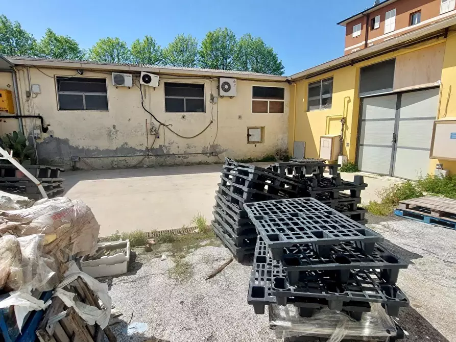 Immagine 17 di Capannone industriale in vendita  a Viareggio