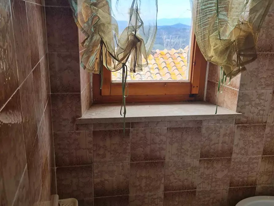 Immagine 24 di Appartamento in vendita  a Casole D'elsa