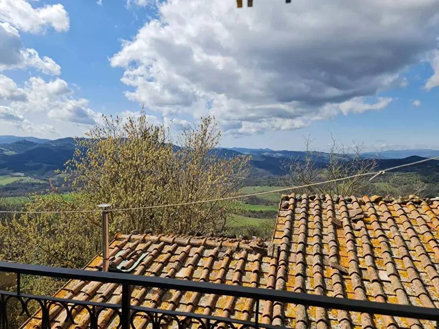 Immagine 30 di Appartamento in vendita  a Casole D'elsa